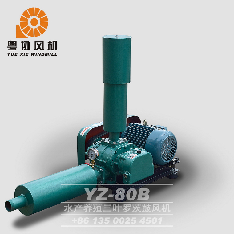 YZ-80B水產養殖三葉羅茨鼓風機